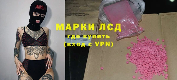apvp Алзамай