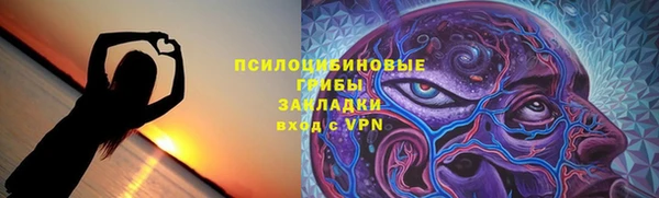 apvp Алзамай
