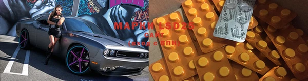 apvp Алзамай