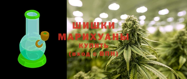 apvp Алзамай