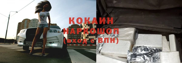 apvp Алзамай