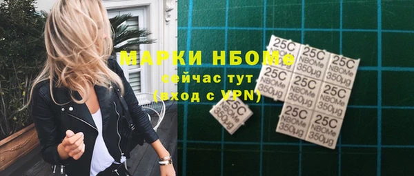 apvp Алзамай