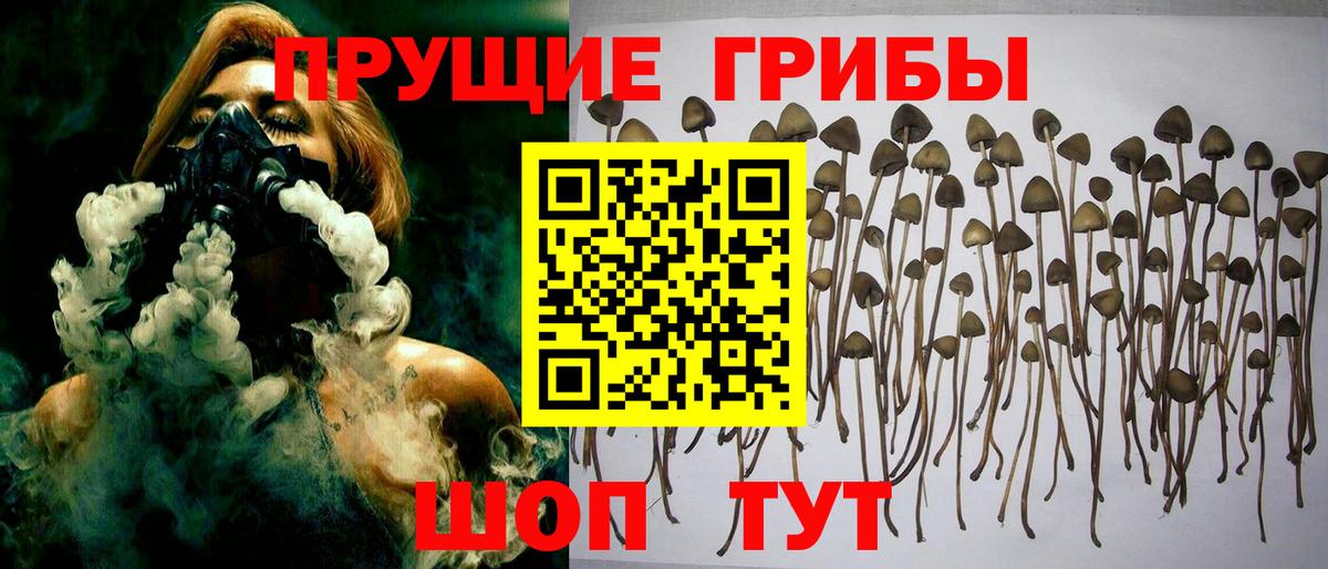 Псилоцибиновые грибы прущие грибы Мирный